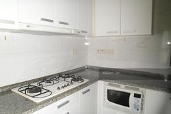 Amaryllis Ville (D11), Condominium #146805632